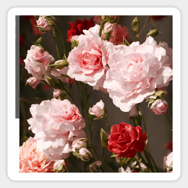 Pink & Red Roses All Over Print Sticker by AIPerfection